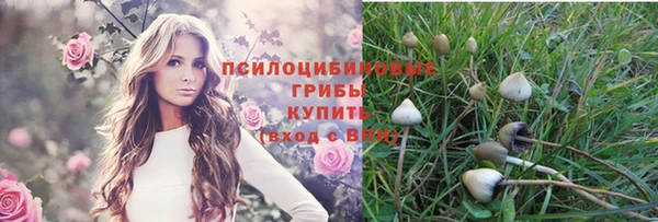 MDMA Лиски