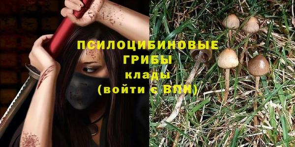 каннабис Бердск